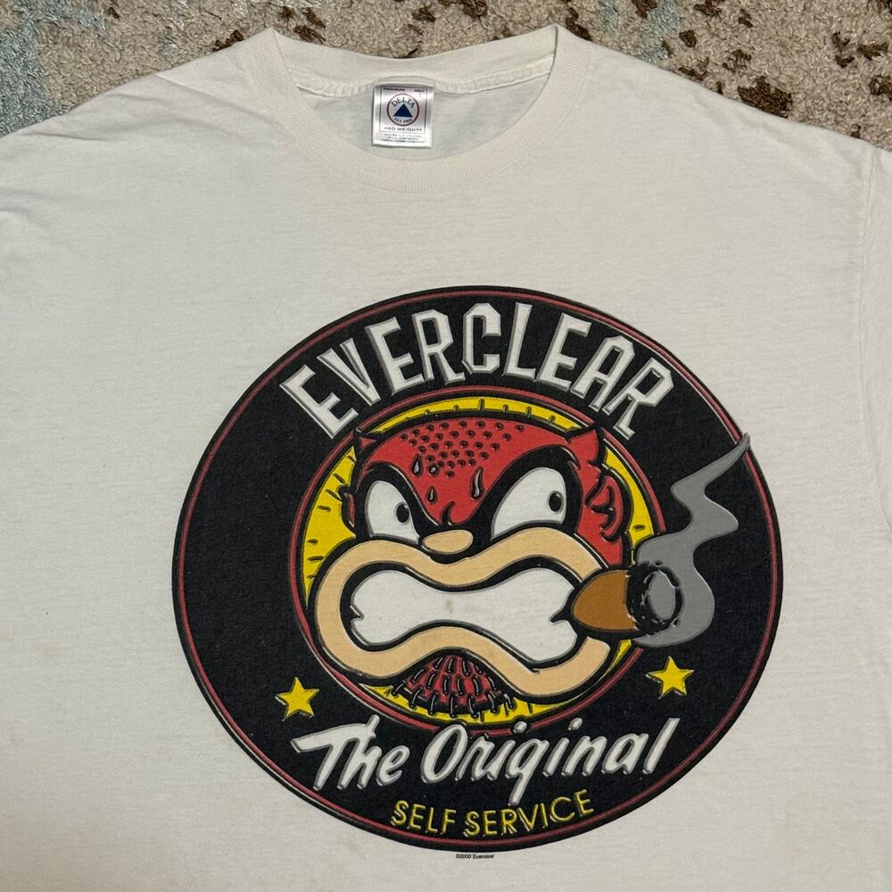 Vintage 2000 Everclear Band Shirt The Original Self Service Size Large